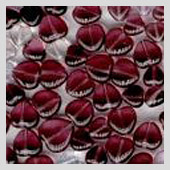 srdíčka perle - mixy